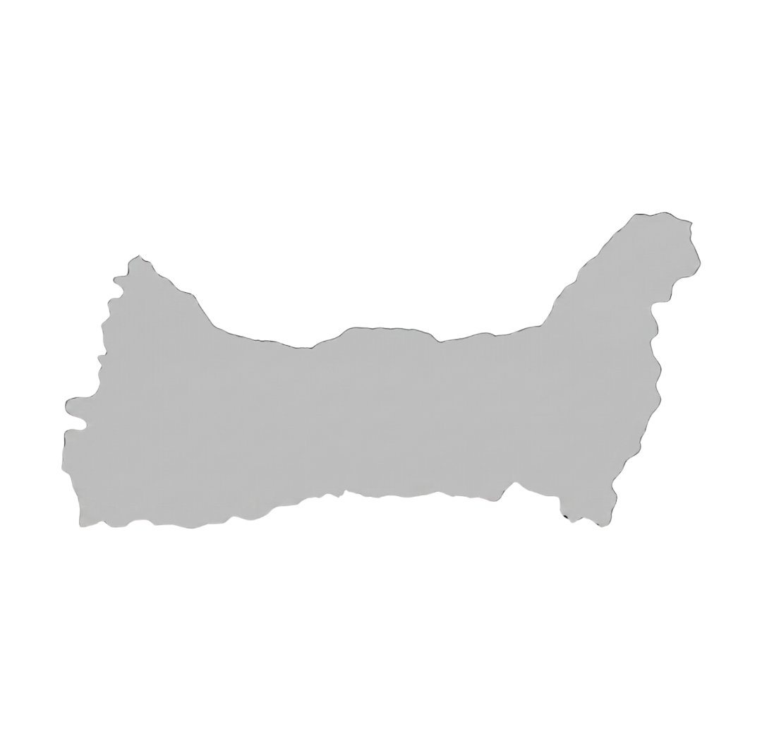 Mapa de impacto en Palmira